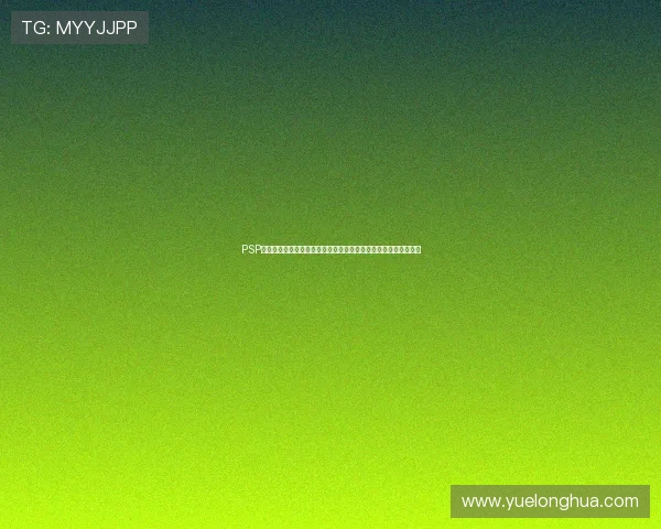 PSP模拟器全面指南与经典游戏畅玩攻略解析及安装设置优化技巧详解