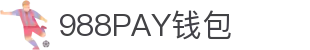 988PAY钱包 - 安全支付工具